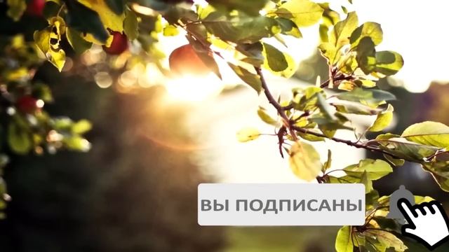Вернувшись с курорта, мать привезла с собой жениха. А когда они поженились, её дочь узнала, что... смотреть онлайн