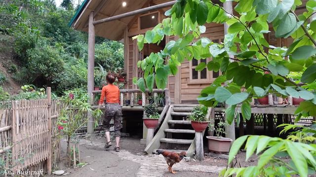 Full Video : The whole process of building, growing and harvesting after 365 days - Ana Bushcraft смотреть онлайн