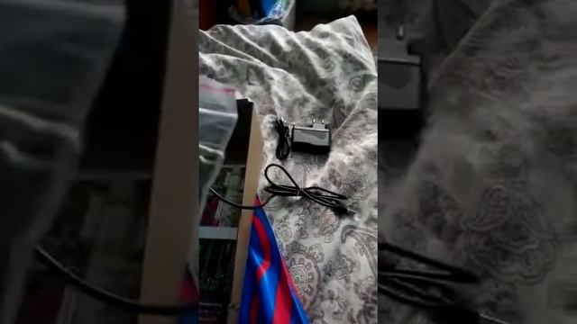 WhatsApp Video 2022 02 11 at 13 11 49 смотреть онлайн