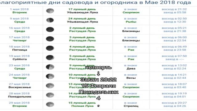 Лунный свадебный календарь на февраль: как выбрать дату свадьбы, благоприятные дни для бракосочета. смотреть онлайн