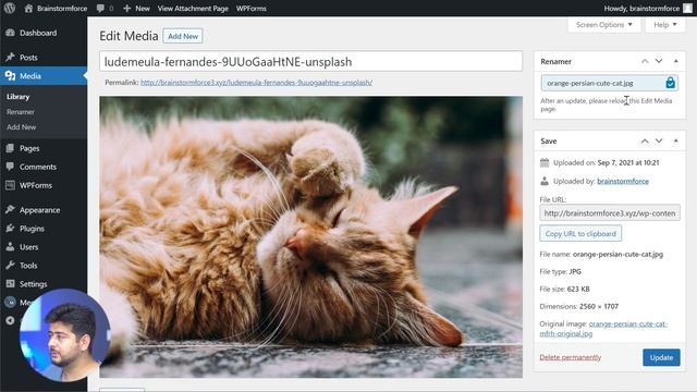 How To Rename Images in WordPress - Change Media Names Easily | WordPress Tutorial for Beginners смотреть онлайн