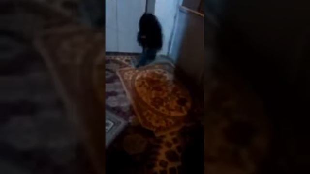 Поймали домового. Жесть. смотреть онлайн