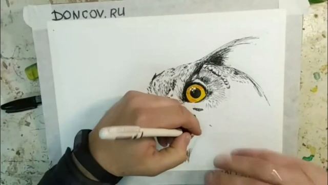 Рисуем Сову смотреть онлайн
