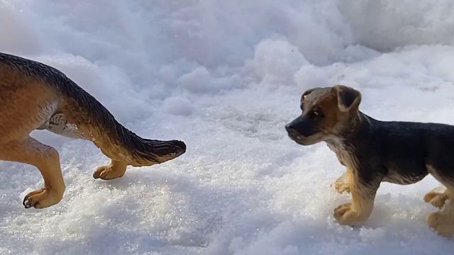 фильм: Погибшая стая. 1 часть. рассказ про медведя