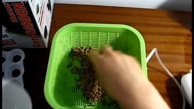 Проростки за 17 часов! Обзор Аэросад - Гидропонный Проращиватель Зерна Семян без Земли! смотреть онлайн