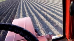 Прополка картофеля ежами трактором Т25,Potato haymaking with hedgehogs T25 tractor