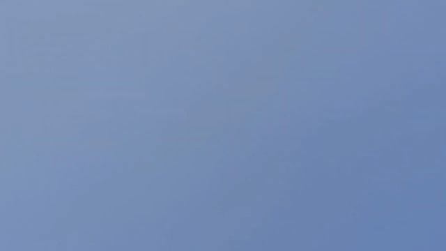 Атака Сокол Сапсан!!!Falcon Pelegrinus Attack Pigeons смотреть онлайн