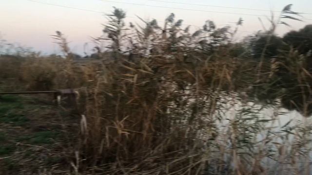 В реку -20 соток, с новым жилым домом!/цена:7800с.Первореченское, Динской район, Краснодарский кр. смотреть онлайн