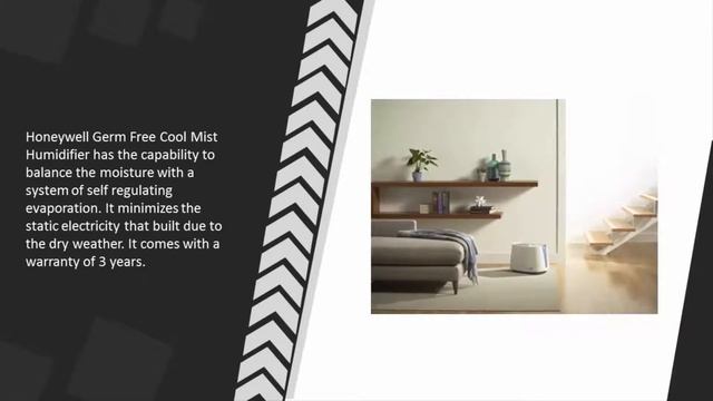 Best Cool Mist Humidifier