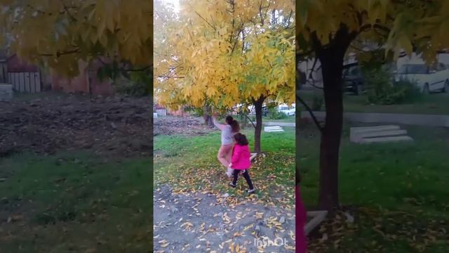 собираем осенний букет????️ смотреть онлайн