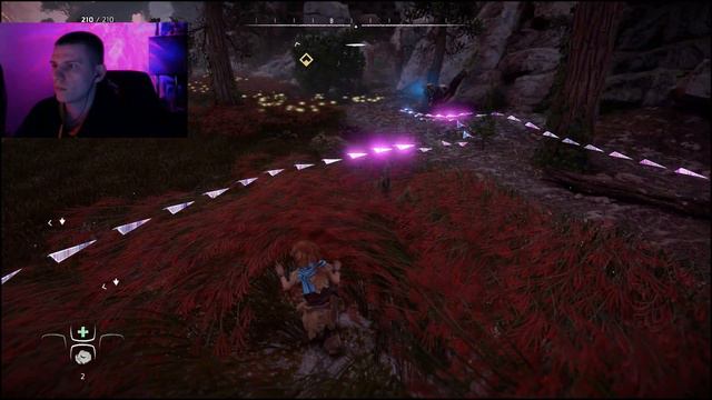 КОРОЛЬ ПРАЙДА СИМБА | Первый взгляд на Horizon Zero Dawn #1 смотреть онлайн