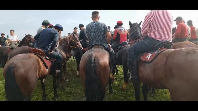 Иркутск шаары 13.08.2023 Мунарбек элге берген Улак тартыш. смотреть онлайн