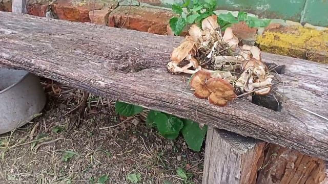 красивое место и обычные будни смотреть онлайн