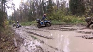 Стелс Гепард 800 в деле!