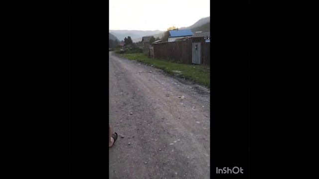 Элекмонар. Горный Алтай. лошади смотреть онлайн
