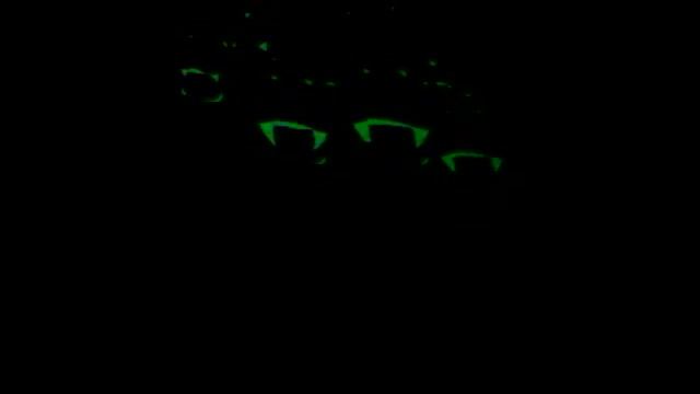 videoplayback88.mp4 смотреть онлайн