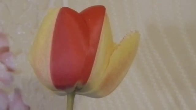 Необычный тюльпан смотреть онлайн