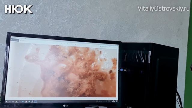 Единственно Правильный Рецепт Употребления Лимона - от Полчищ Глистов и Модных Болезней! смотреть онлайн