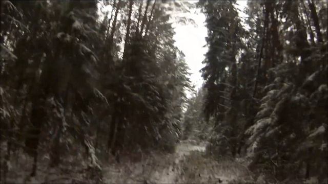 Зимний лес смотреть онлайн