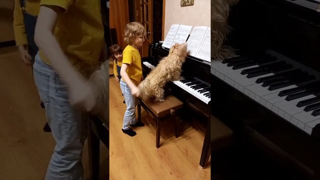 Visiting Elisey Mysin and his dog Wolfgang смотреть онлайн