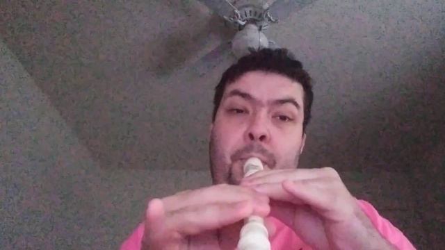 Undertale - Megalovania flute cover (recorder) na flauta doce смотреть онлайн