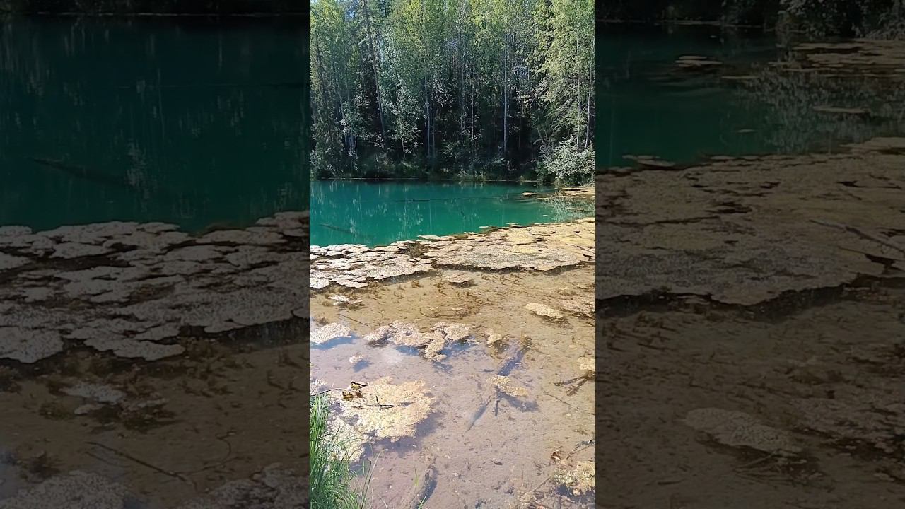 Отдых на Параськиных озёрах, Коми #природа#отдых#отдыхнаприроде#параськиныозёра#лес#леснаясказка#fyp