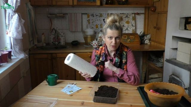 Как ускорить рассаду. Особая методика посева семян - 7 дач смотреть онлайн