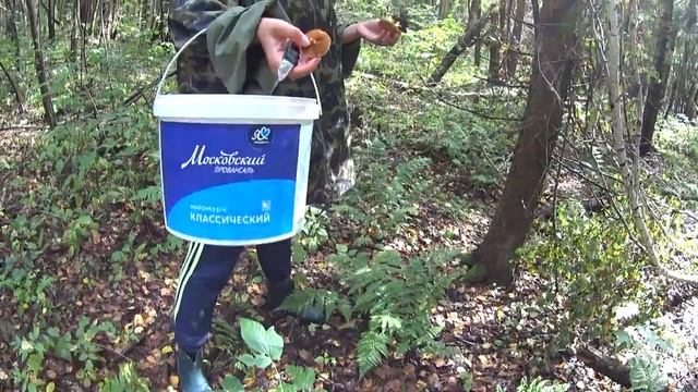 Скетчи от КХН. Это Козлята !!!!! смотреть онлайн