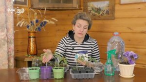 LEAF POWER - для рассады