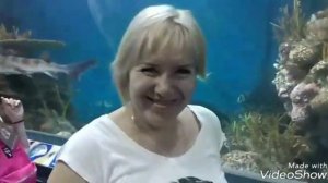 Шанхайский океанариум