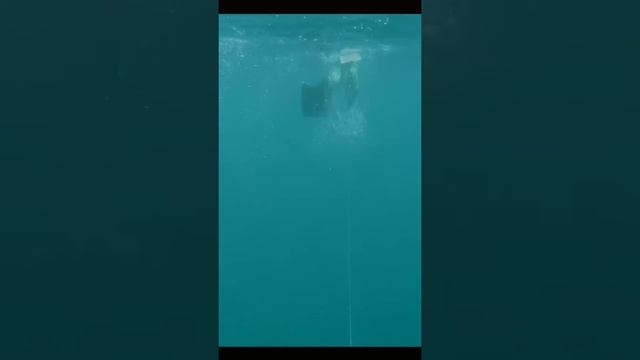 Lombok spearfishing trip смотреть онлайн