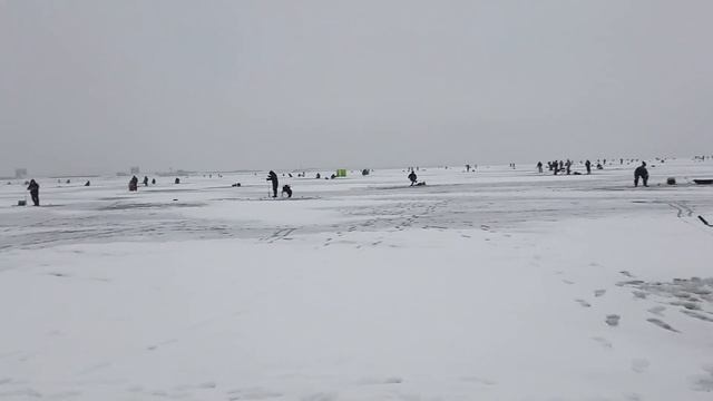 Корюшка в Кронштадте.23.01.21 смотреть онлайн
