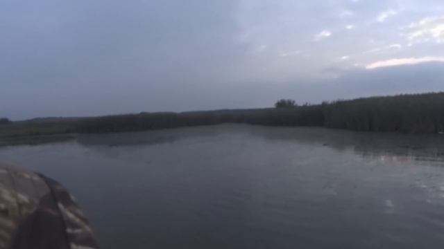 Охота на уток с манком утром, Манок на крякву Faulk`s WA 33А Как манить уток манком смотреть онлайн