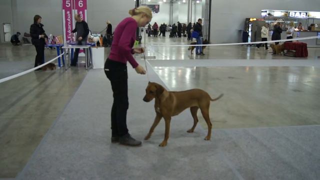 Тина Трейдинг Мона, тренировка смотреть онлайн