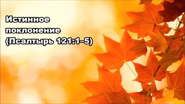 Тихое время с Живой Жизнью: Псалтирь 121:1–9 (27092019) смотреть онлайн