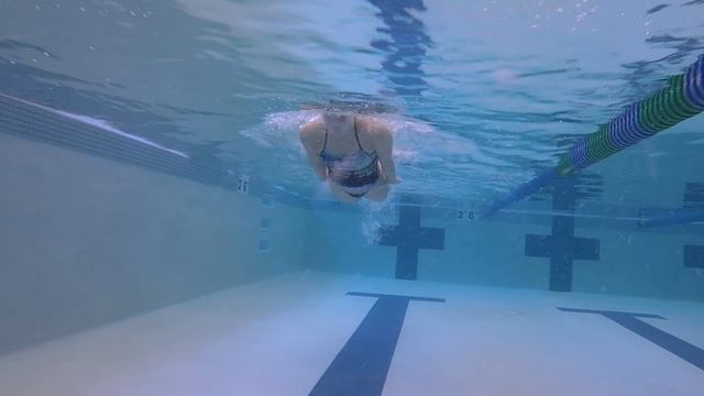 Butterfly Head Position Breathing Drill смотреть онлайн