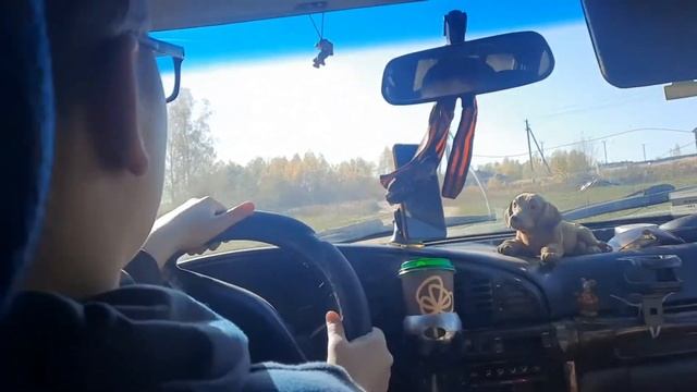 Vlog:Ромина дача 2 часть смотреть онлайн