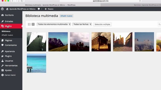 Como crear una galería de imágenes en WordPress смотреть онлайн