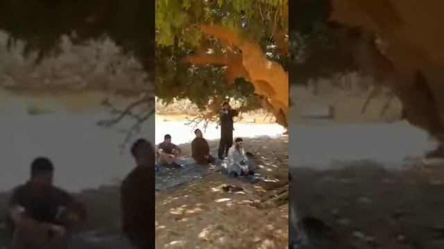 Азан в Иордании под Деревом которого Отдыхал сам Пророк Мухьаммад ﷺ в одной из поездок 1440/1480 ле смотреть онлайн