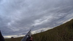 Бекас 12М-авто. Охота по утке как на стенде по тарелочкам.