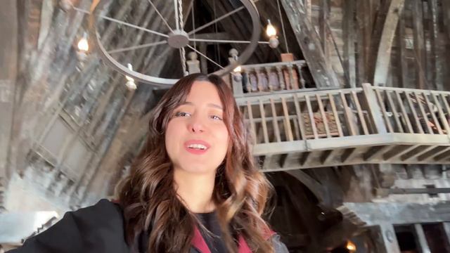 رفتیم آمریکااااا! I WENT TO HOGWARTS смотреть онлайн