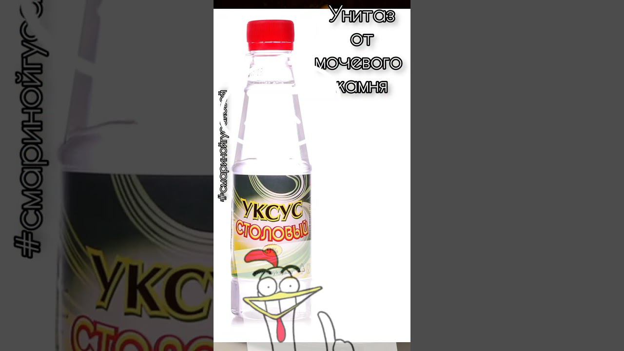 Чистый УНИТАЗ от МОЧЕВОГО КАМНЯ. КАКОЕ СРЕДСТВО ПОМОГЛО % Чем лучше почистить @смаринойгусаковой смотреть онлайн