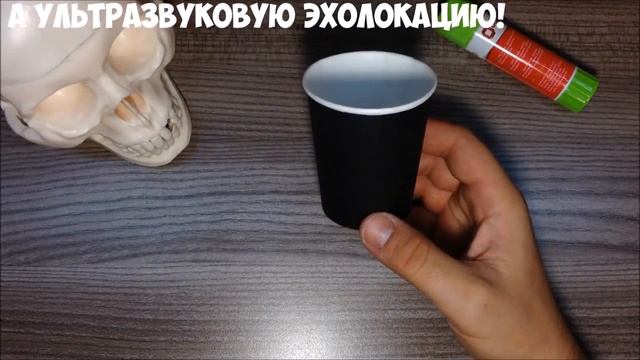 поделки из стаканчиков летучая мышь mp4 смотреть онлайн