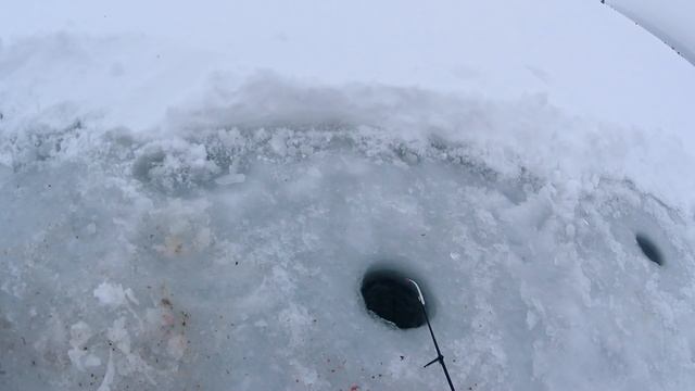 Ловля леща. Зимняя рыбалка. Ловля Леща на мормышку. смотреть онлайн
