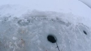 Ловля леща. Зимняя рыбалка. Ловля  Леща на мормышку.