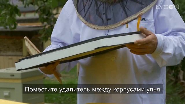 Сбор мёда при помощи удалителя смотреть онлайн