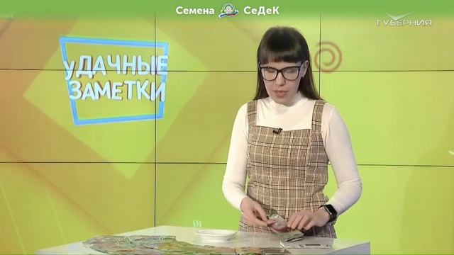 В будущем сезоне обязательно посадите эти шоколадные и сахарные томаты! смотреть онлайн