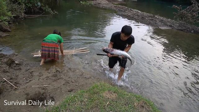 Wild Fishing Exciting - Primitive Cooking Big Fish Belly Many Eggs and Crabs смотреть онлайн