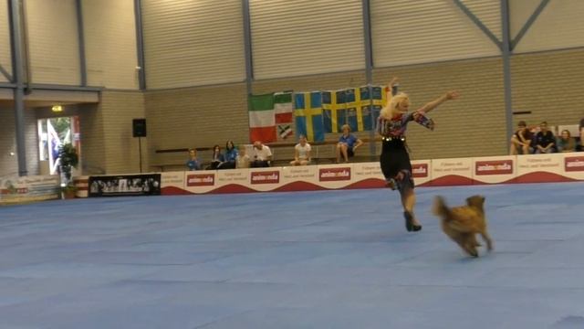Dogdance World Championship. Freestyle. Polina Il'ina and Berger Pyrenees Hardy. Танцы с собаками смотреть онлайн