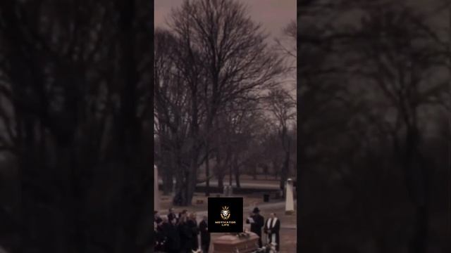 Честность и верность это дорогой подарок #дружба #хатико #shortsvideo смотреть онлайн